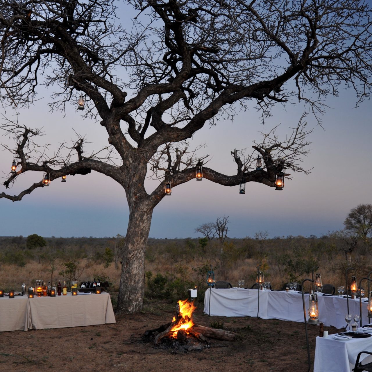 Sabi Sands Luxury Lodge | 4 Days | South Africa