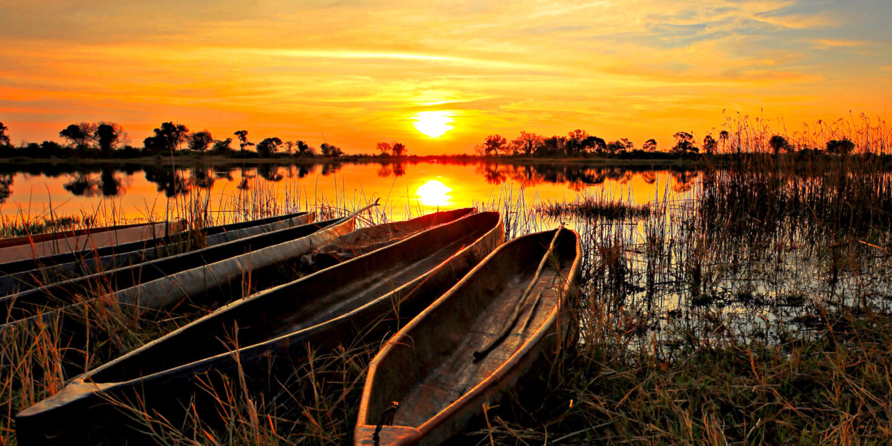 7 Day Chobe and Delta Luxury Safari